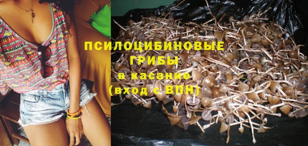 эйфоретик Беломорск
