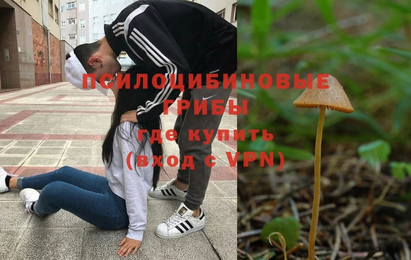 эйфоретик Беломорск