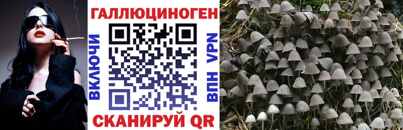 Галлюциногенные грибы Psilocybine cubensis Облучье